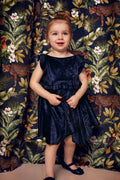 Girls Velvet Party Dress with Frill Shoulders